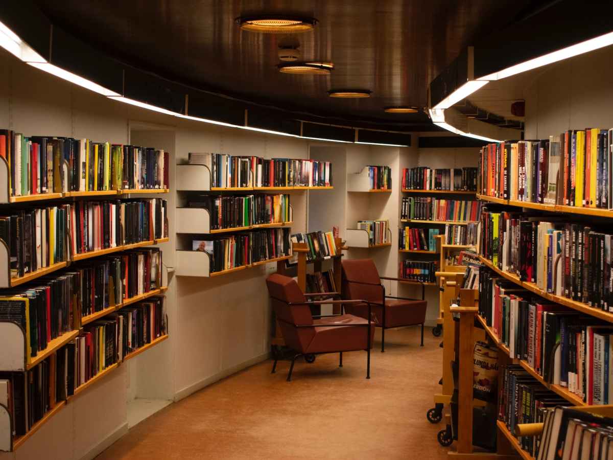 Open access publishing: article processing charges pose possible negative consequences for authors and the marketplace of ideas